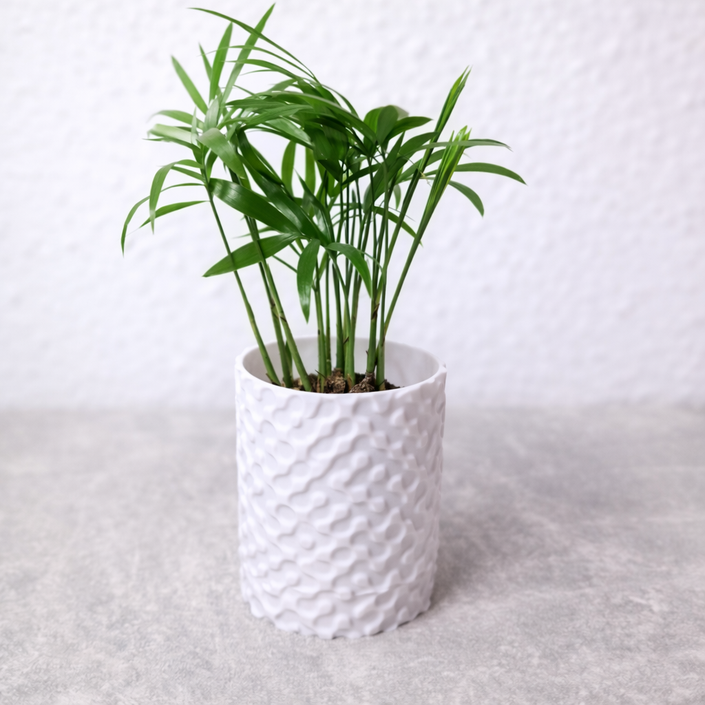 Pflanztopf Geo klein Pflanztopf Geo klein